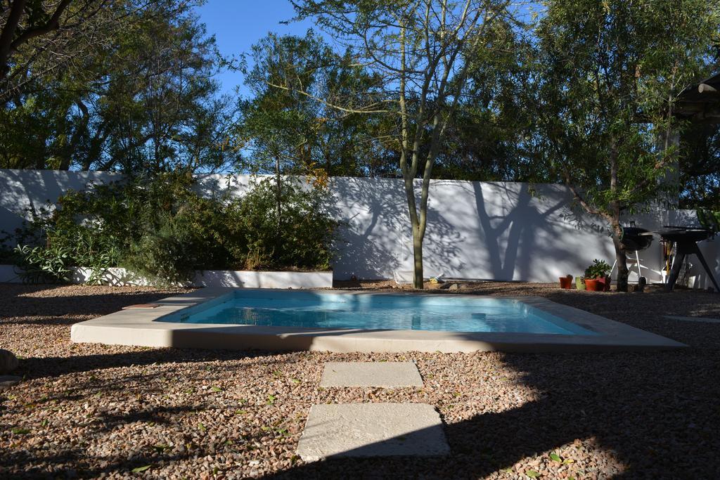 Gecko Cottages برنس ألبرت المظهر الخارجي الصورة